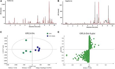 Integrated Metabolomics and Targeted Gene Transcription Analysis Reveal Global Bacterial Antimonite Resistance Mechanisms